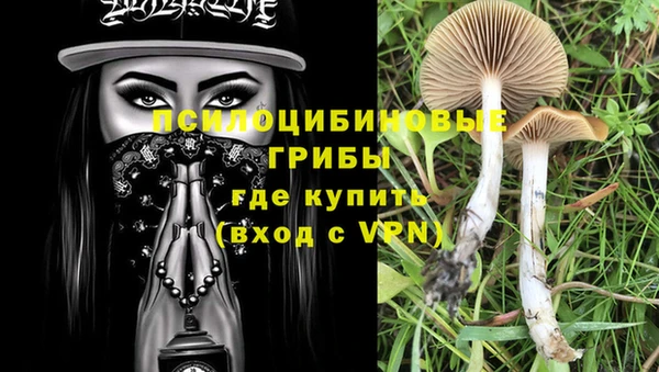 дурь Алзамай