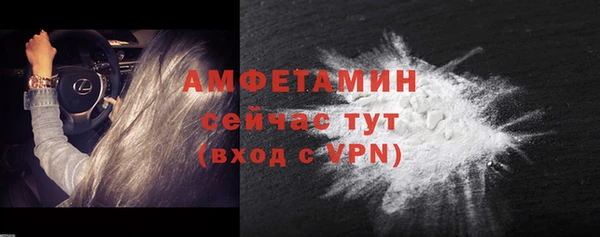 прущие грибы Пересвет