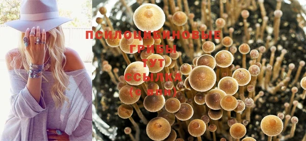 дурь Алзамай