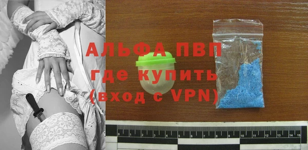 прущие грибы Пересвет