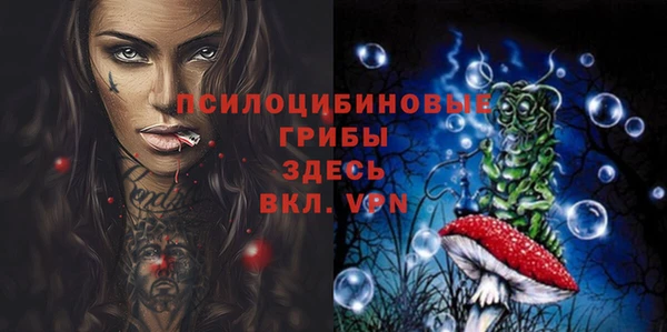 дурь Алзамай