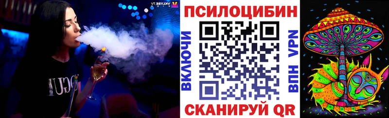 Галлюциногенные грибы Psilocybine cubensis  Неман 